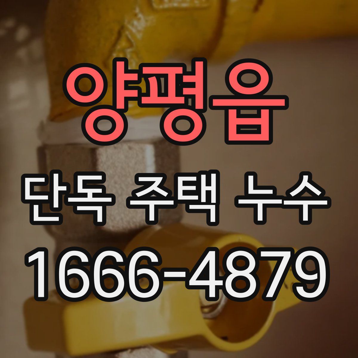 양평읍 단독 주택 누수