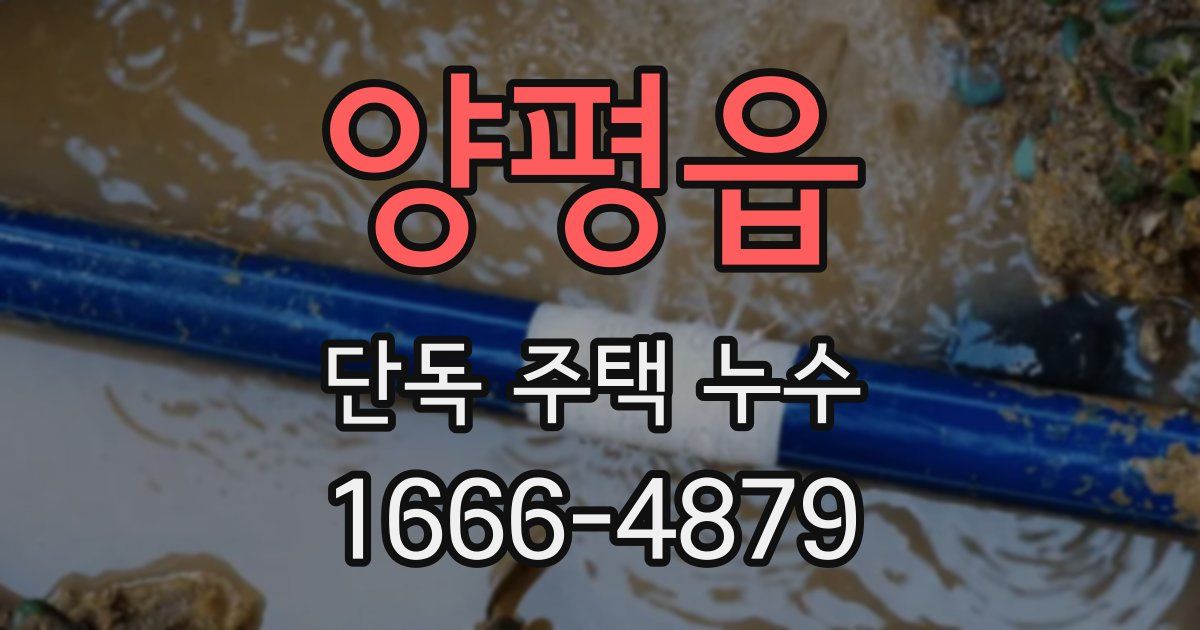 양평읍 단독 주택 누수