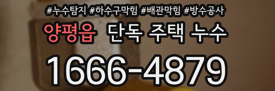 양평읍 단독 주택 누수