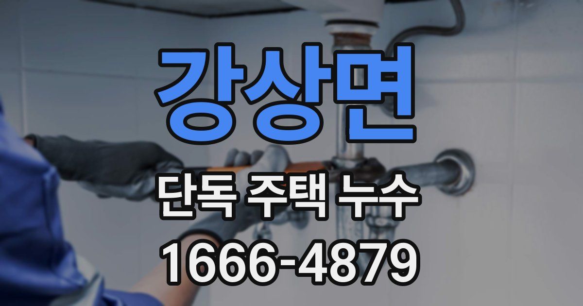 강상면 단독 주택 누수
