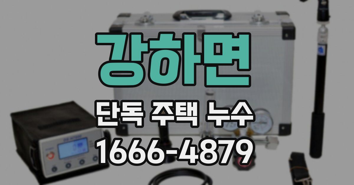 강하면 단독 주택 누수