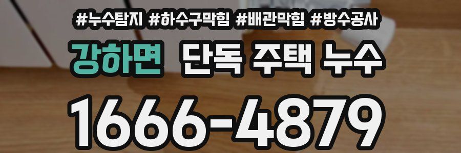 강하면 단독 주택 누수