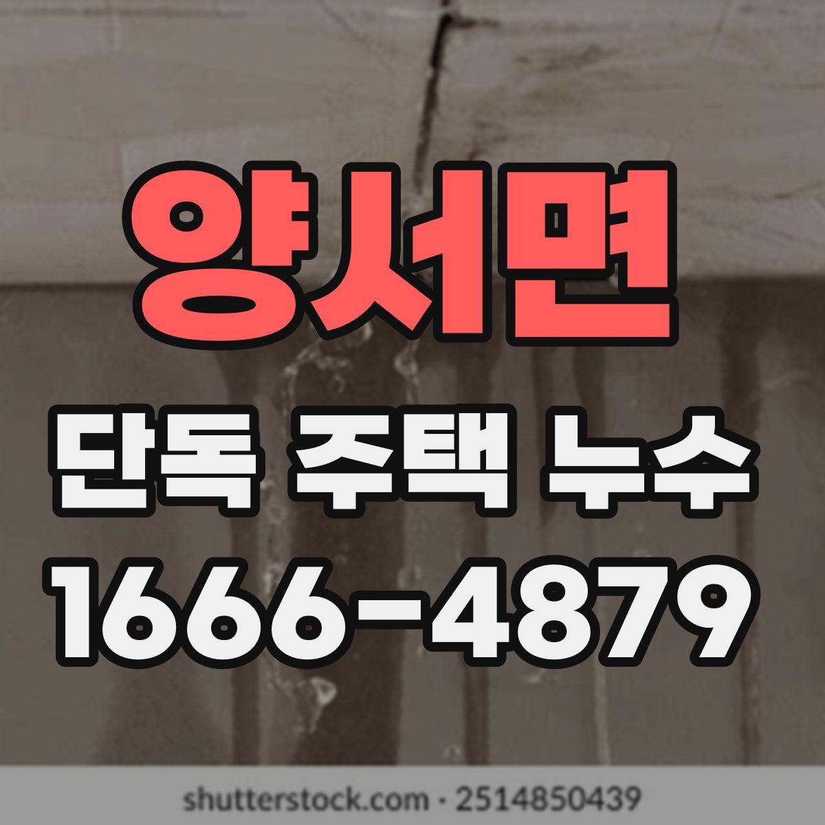 양서면 단독 주택 누수