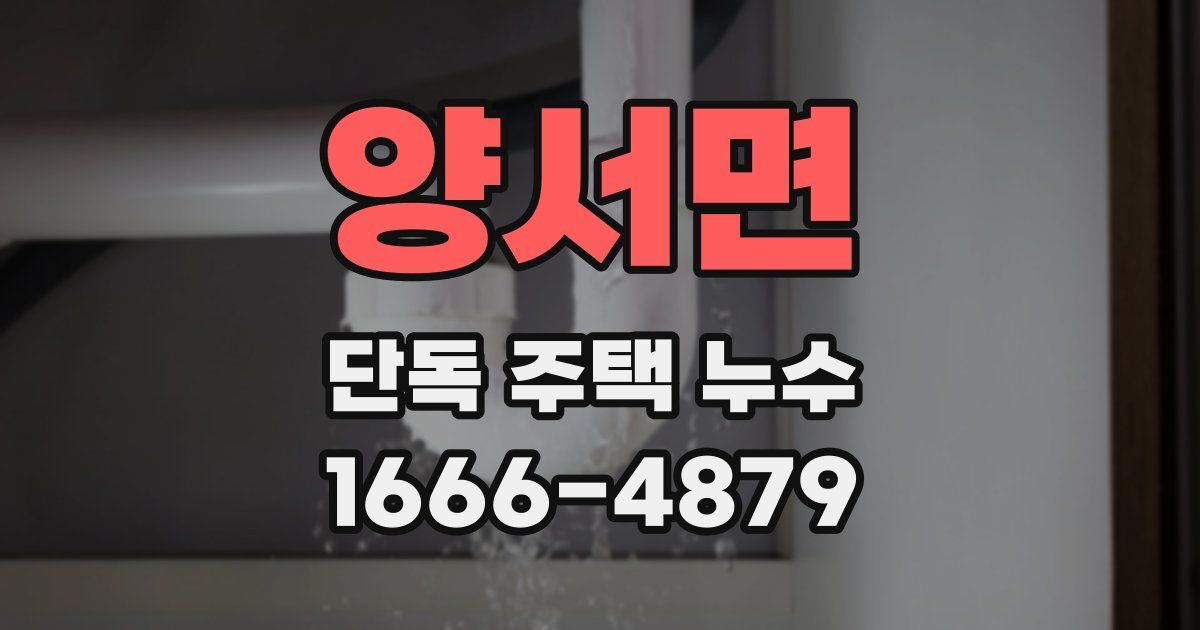 양서면 단독 주택 누수