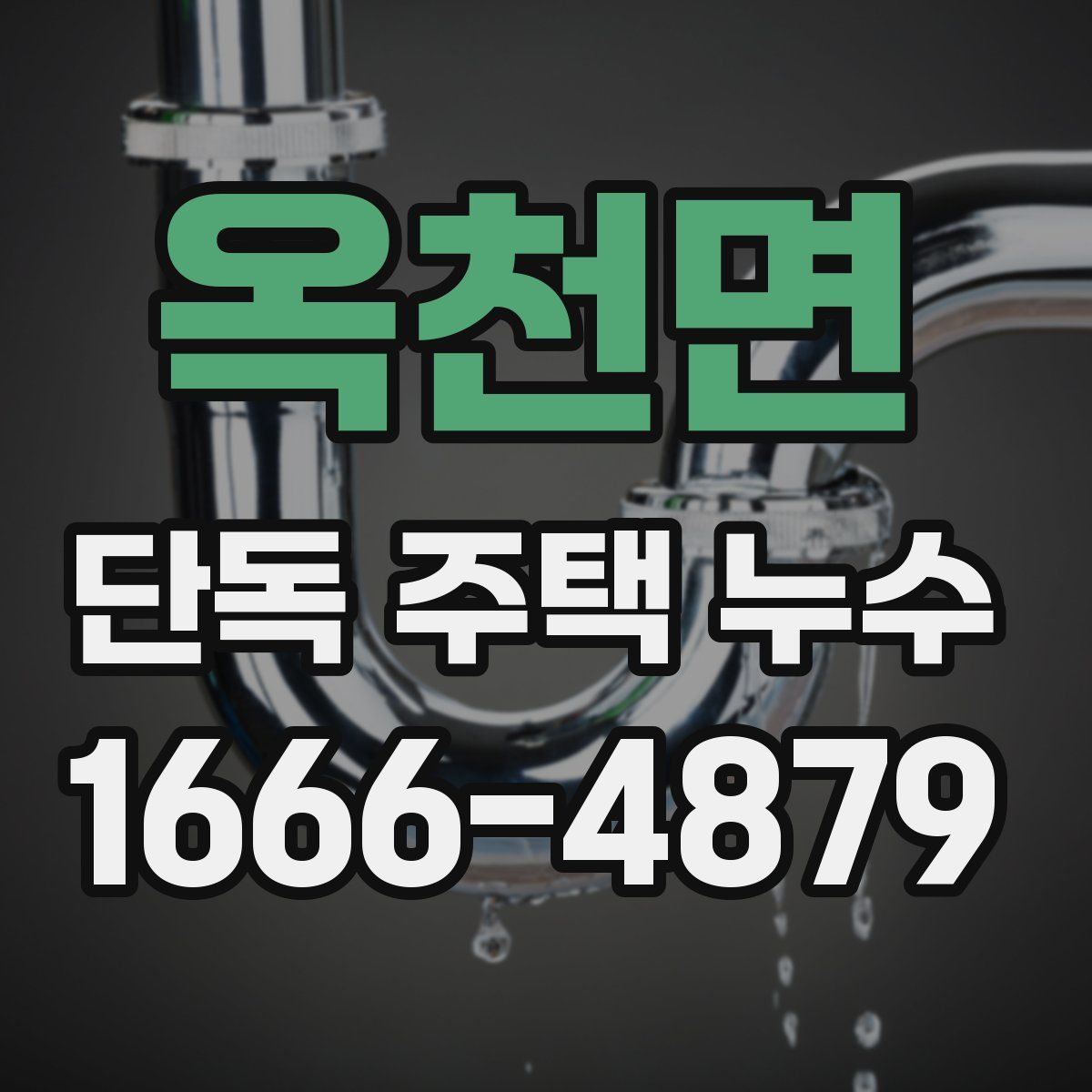 옥천면 단독 주택 누수