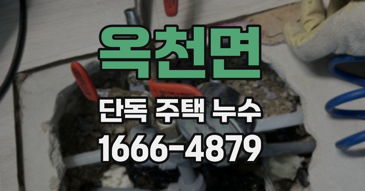 옥천면 단독 주택 누수