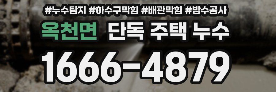 옥천면 단독 주택 누수