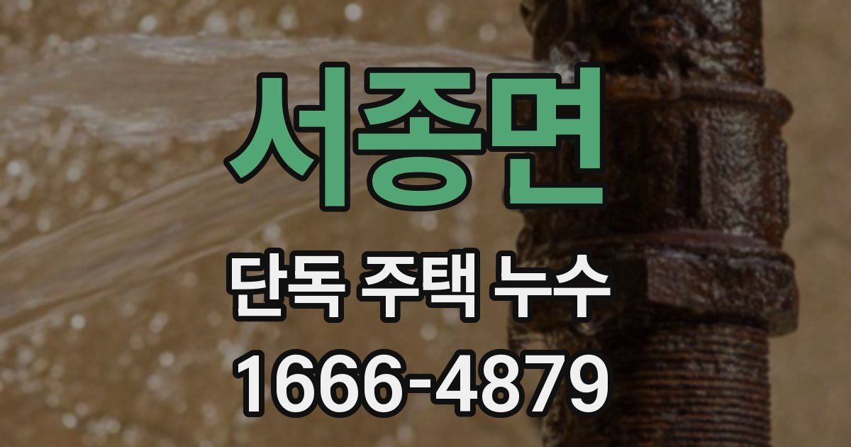 서종면 단독 주택 누수