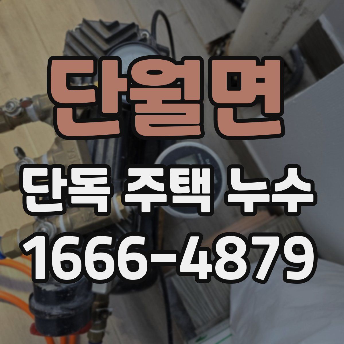 단월면 단독 주택 누수