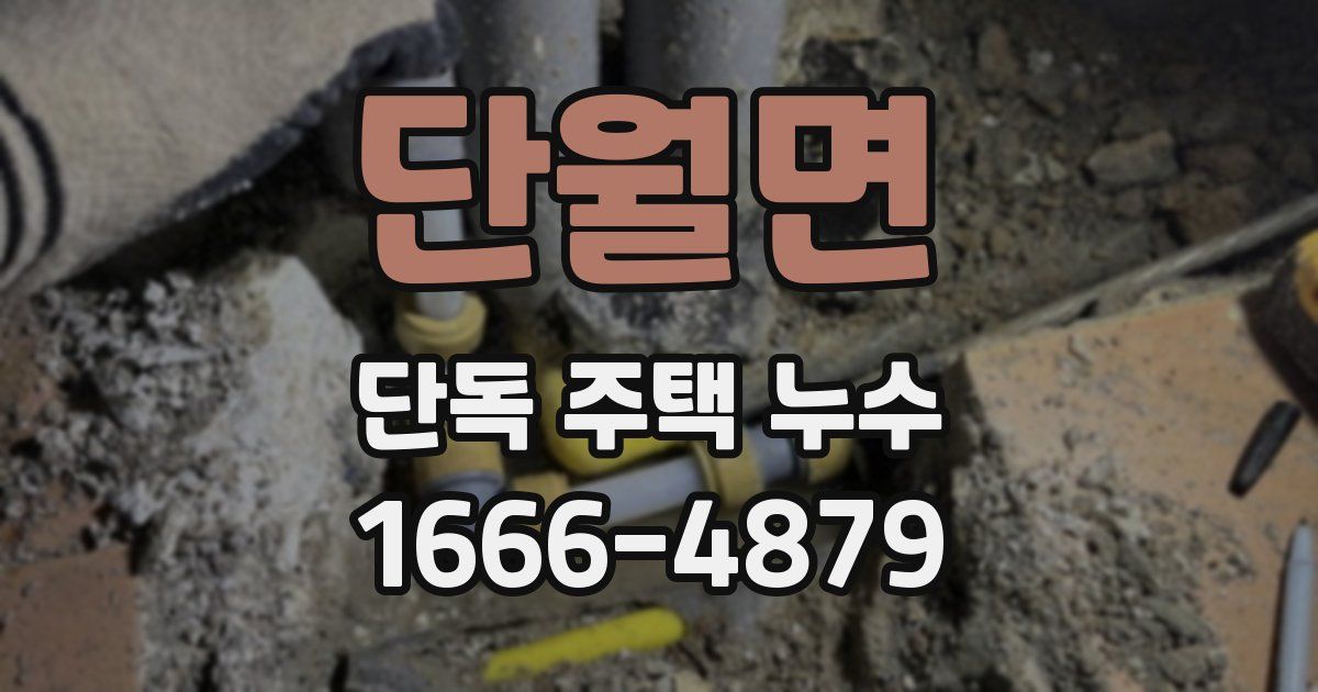 단월면 단독 주택 누수