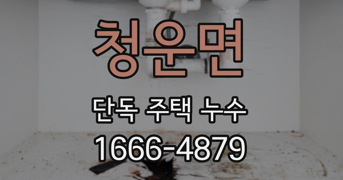 청운면 단독 주택 누수