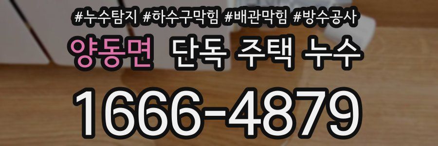 양동면 단독 주택 누수