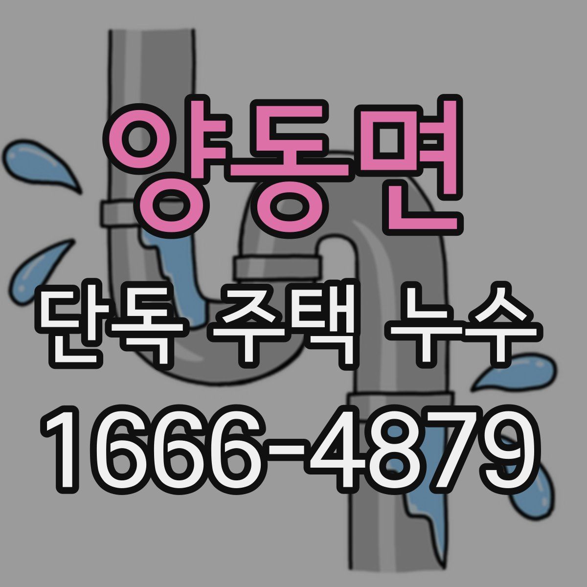 양동면 단독 주택 누수