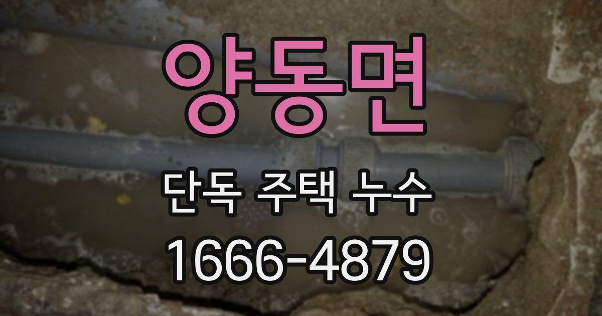 양동면 단독 주택 누수
