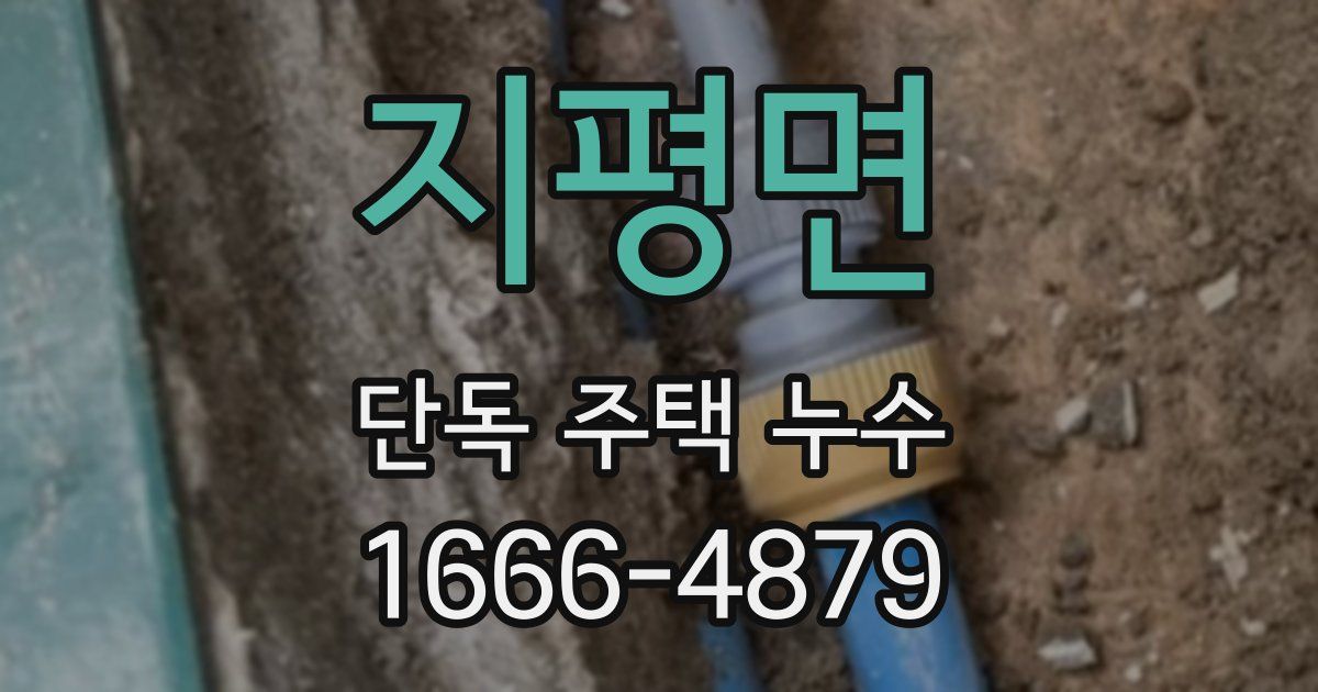 지평면 단독 주택 누수