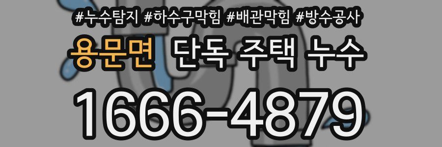 용문면 단독 주택 누수