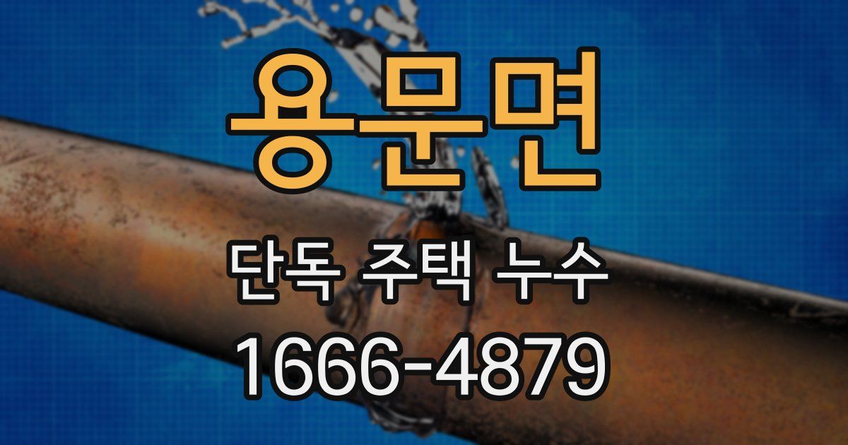 용문면 단독 주택 누수