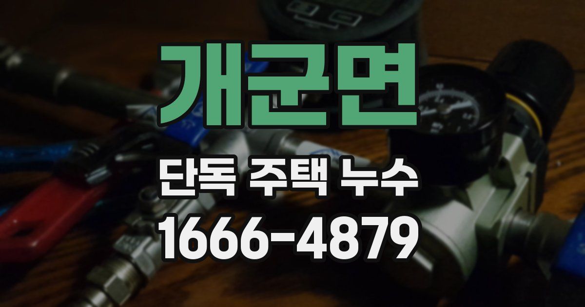 개군면 단독 주택 누수