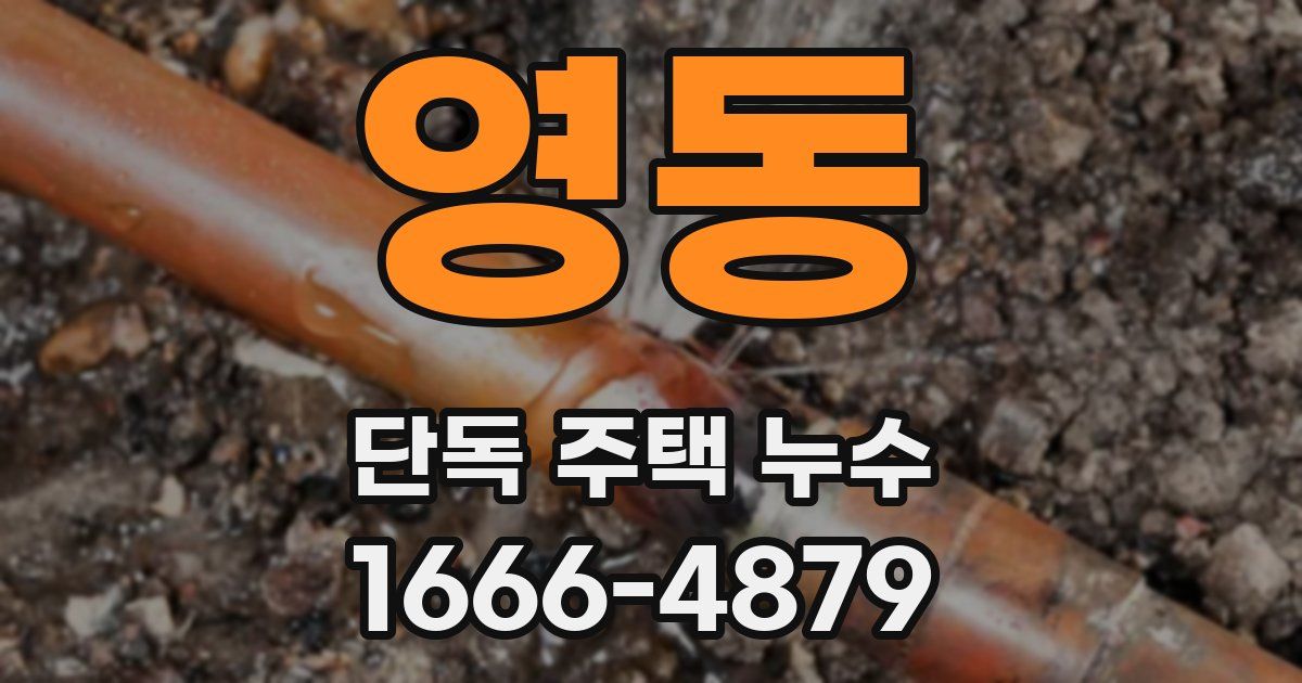 영동 단독 주택 누수