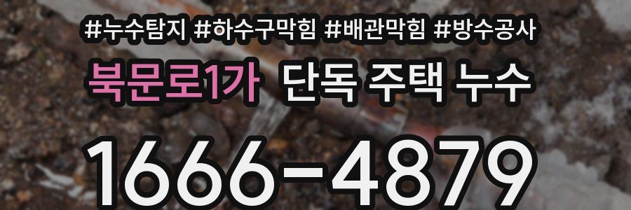 북문로1가 단독 주택 누수