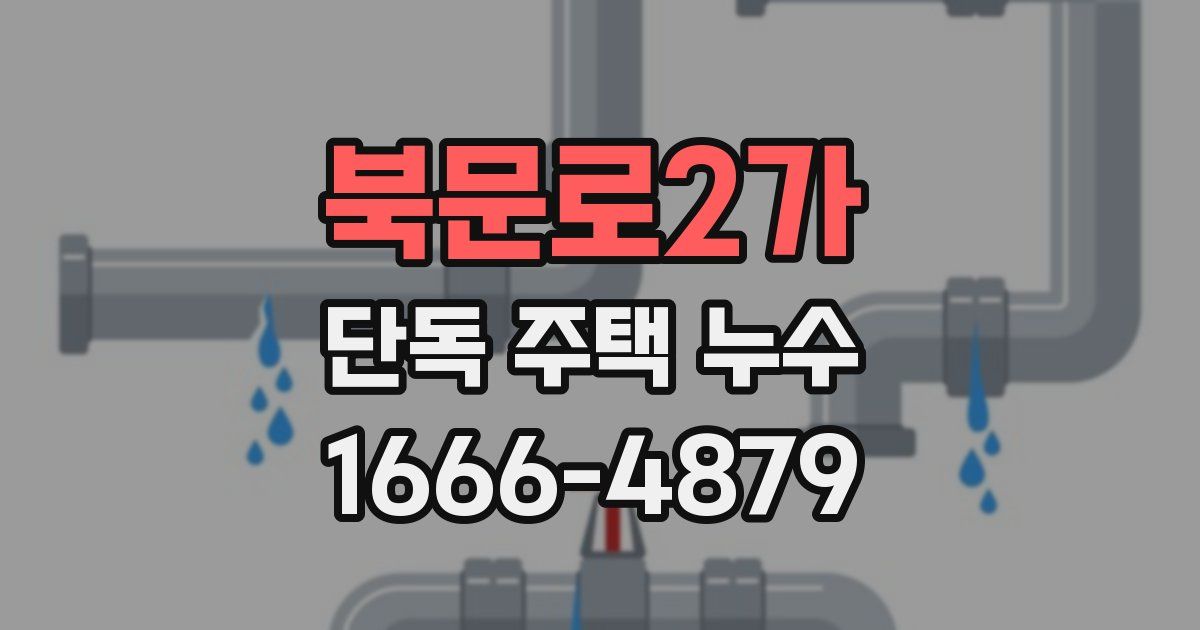 북문로2가 단독 주택 누수
