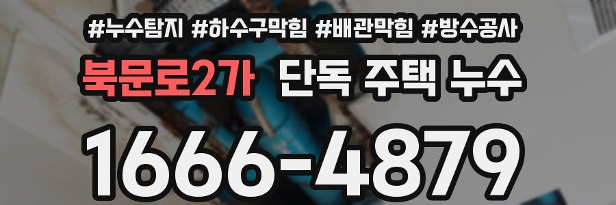 북문로2가 단독 주택 누수