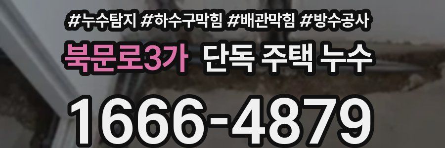 북문로3가 단독 주택 누수
