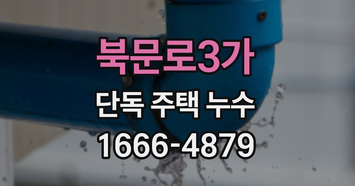 북문로3가 단독 주택 누수