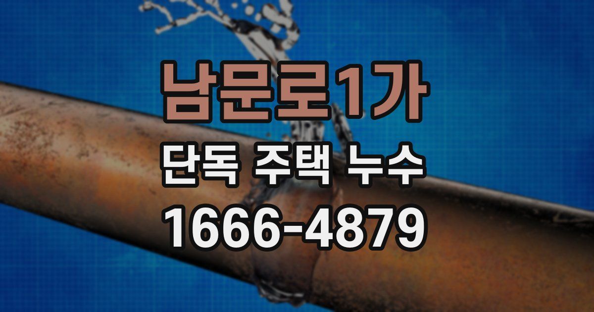 남문로1가 단독 주택 누수