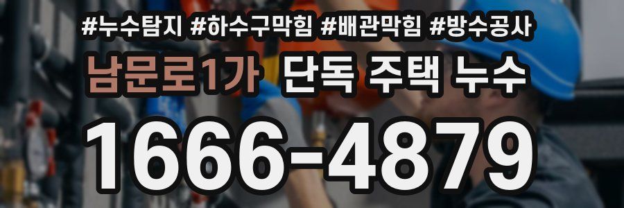 남문로1가 단독 주택 누수