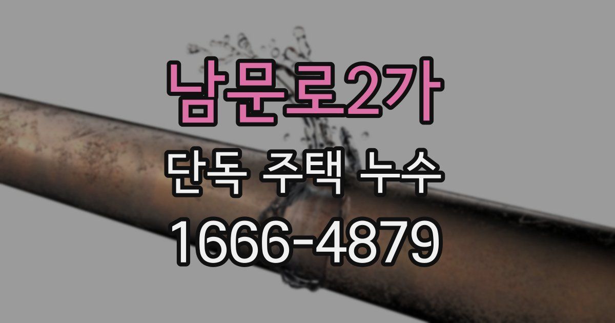 남문로2가 단독 주택 누수