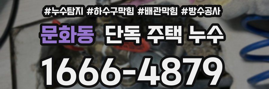 문화동 단독 주택 누수