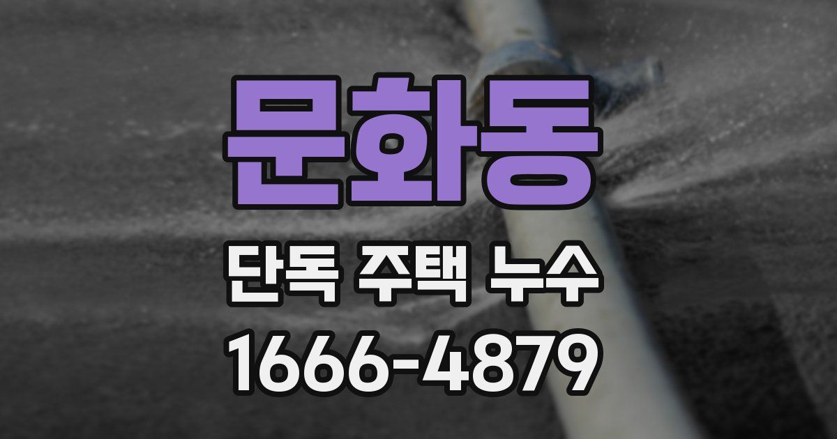 문화동 단독 주택 누수