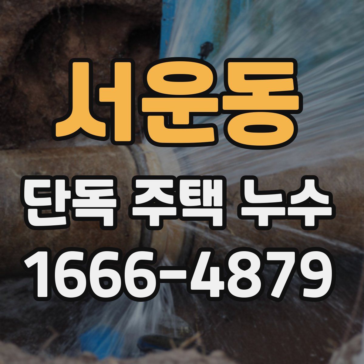 서운동 단독 주택 누수