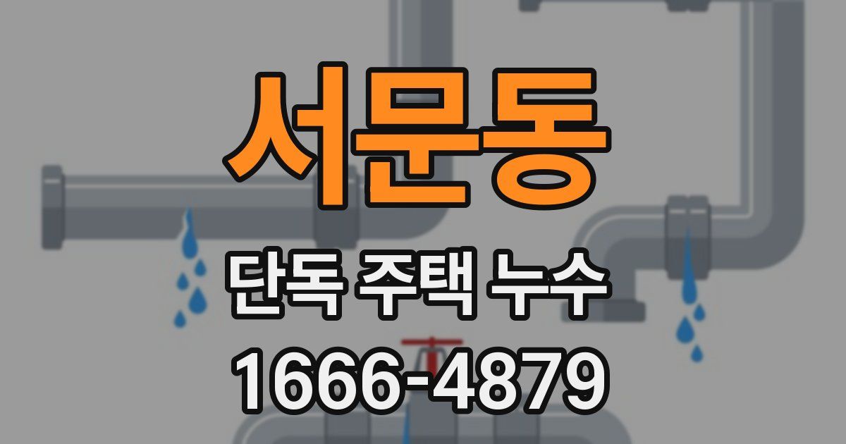 서문동 단독 주택 누수
