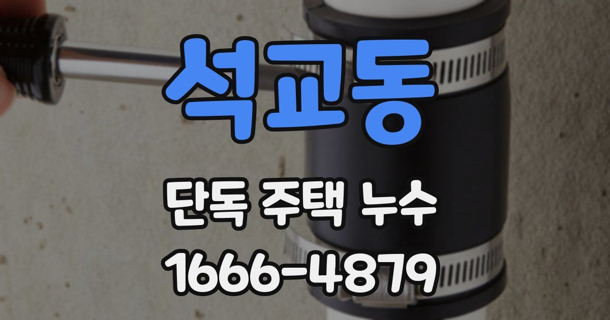 석교동 단독 주택 누수