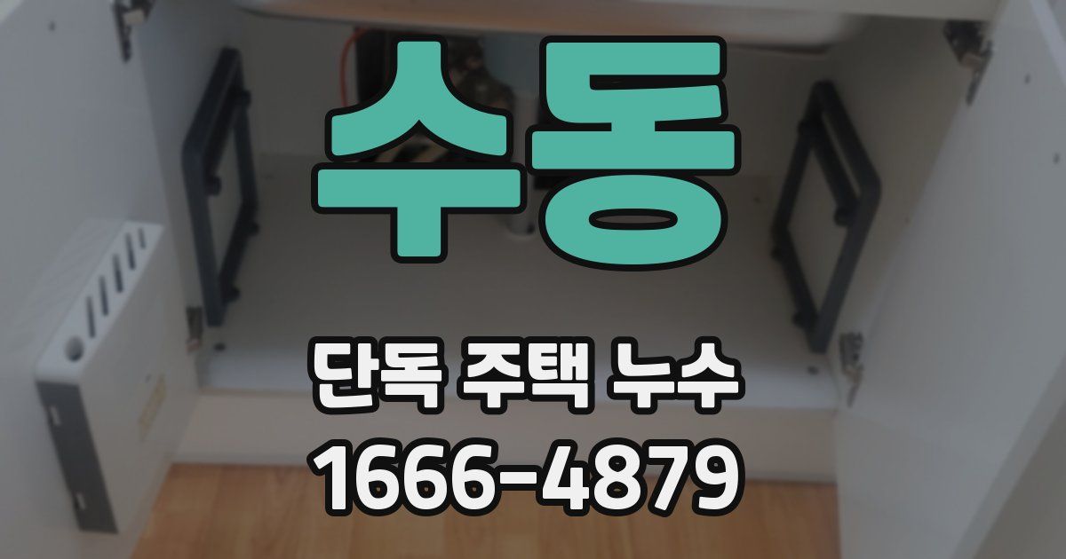 수동 단독 주택 누수