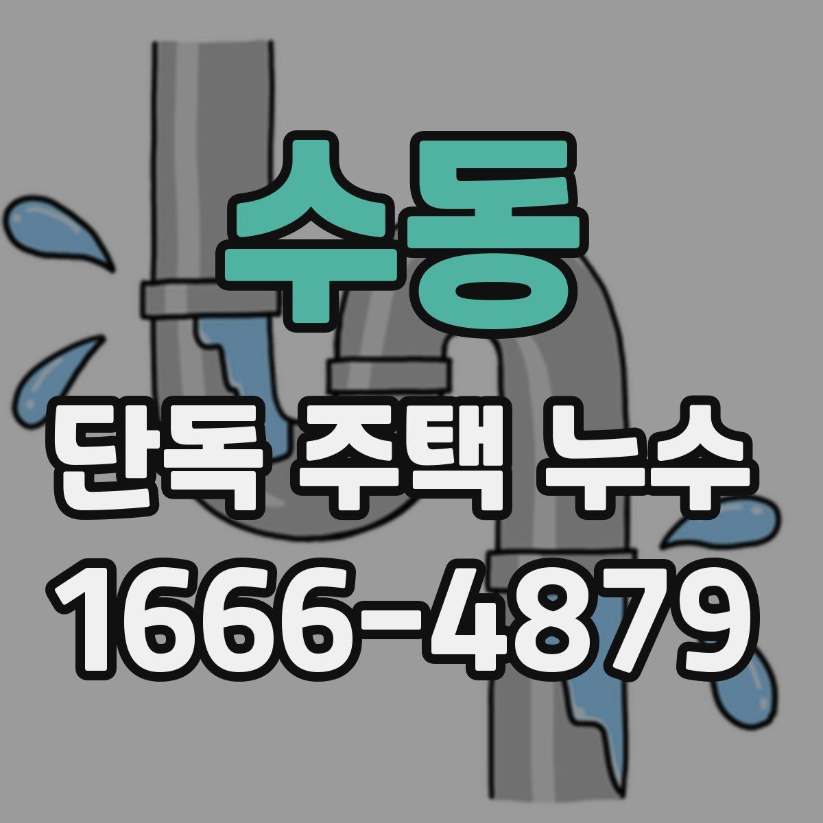 수동 단독 주택 누수