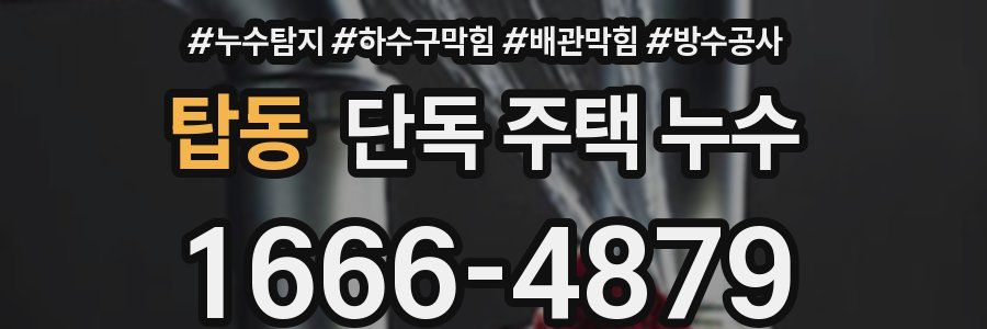 탑동 단독 주택 누수