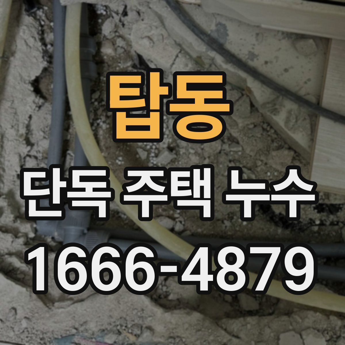 탑동 단독 주택 누수