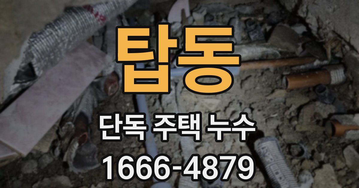 탑동 단독 주택 누수