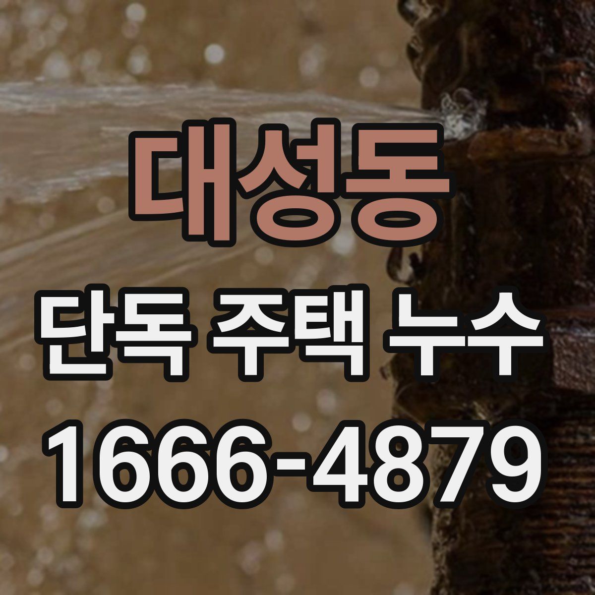 대성동 단독 주택 누수