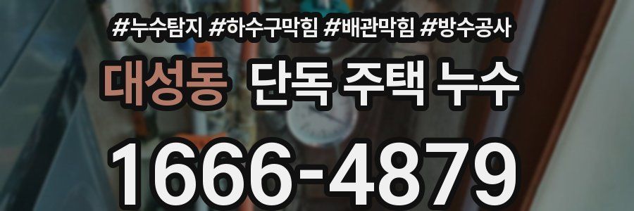 대성동 단독 주택 누수