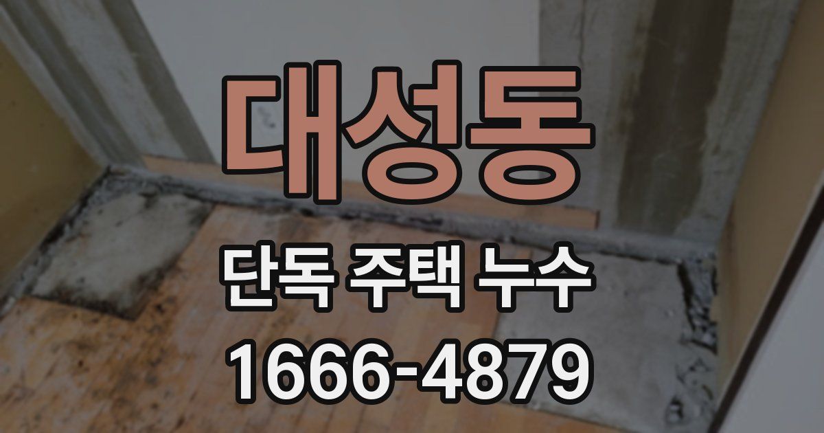 대성동 단독 주택 누수
