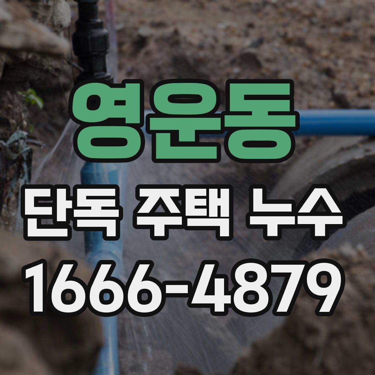 영운동 단독 주택 누수
