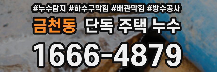 금천동 단독 주택 누수