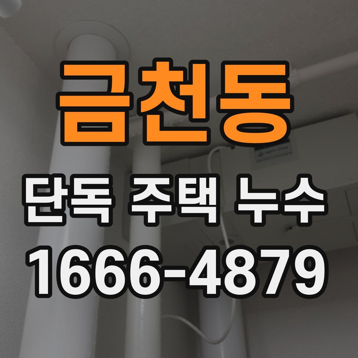 금천동 단독 주택 누수