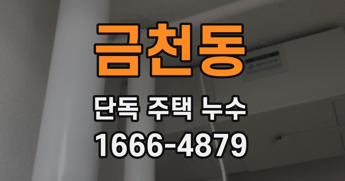 금천동 단독 주택 누수