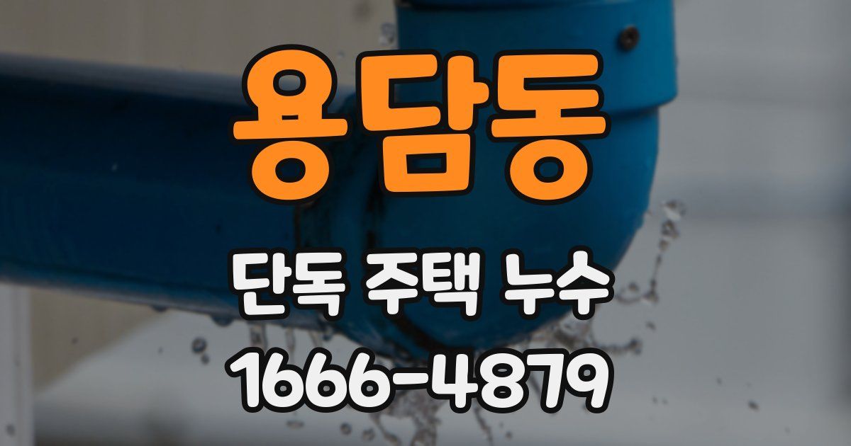 용담동 단독 주택 누수