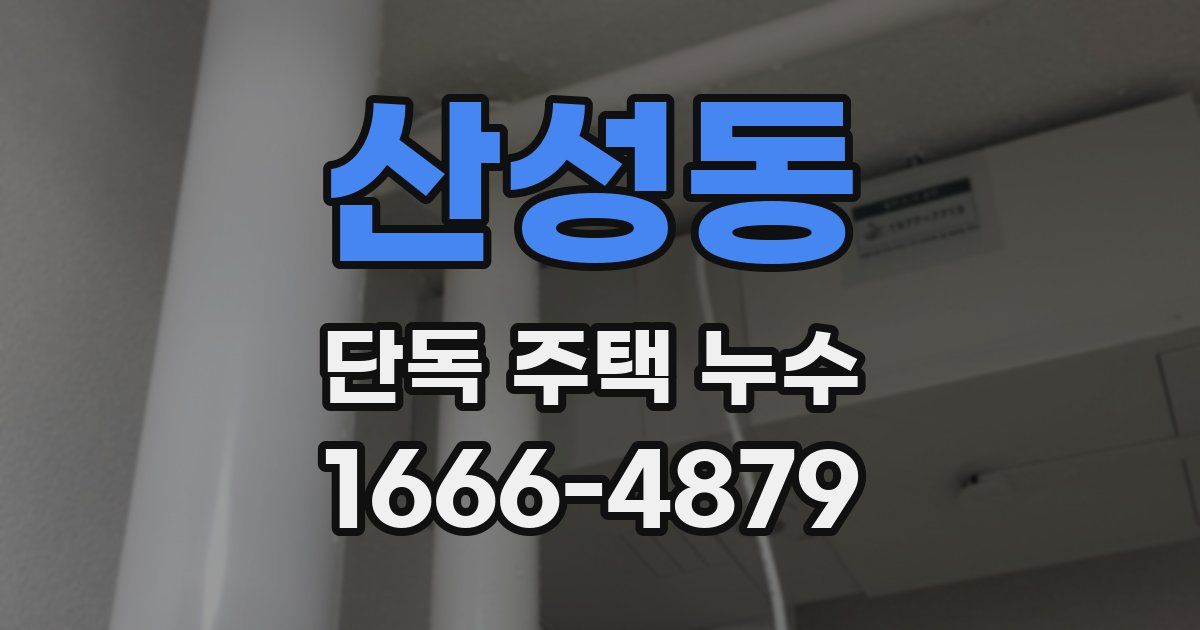 산성동 단독 주택 누수